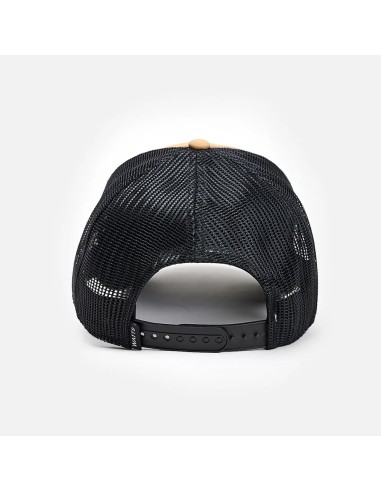 Watts casquette truck