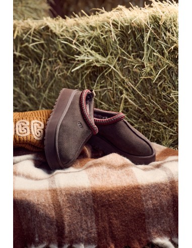 UGG Tazz Platform Dusted Cocoa – Chaussons plateforme en suède avec laine UGGplush™
