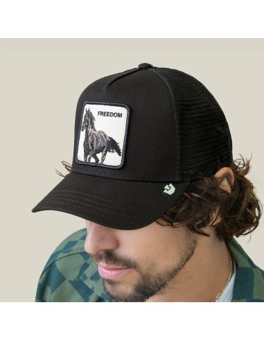 Goorin Bros. Casquette Freedom Horse Noir