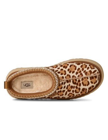 Chaussons UGG Tazz Plains – suède Felicity, motif léopard & plateforme