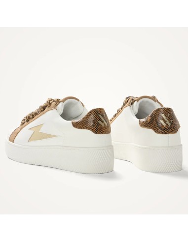 Baskets femme Vanessa Wu Milie camel or python BK2761CM