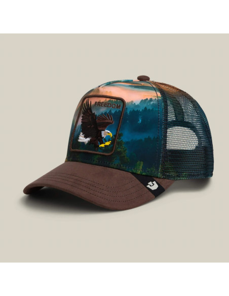 Goorin Bros. Casquette eagle in the element