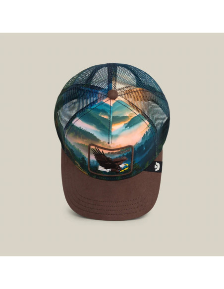 Goorin Bros. Casquette eagle in the element