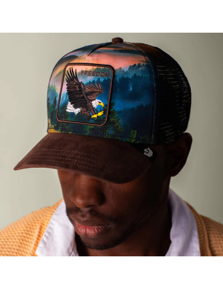 Goorin Bros. Casquette eagle in the element