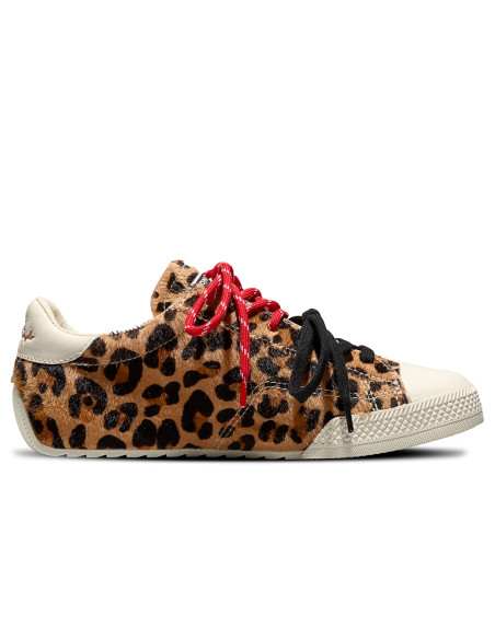 Converse Chuck Taylor Leopard Femme | Hylton