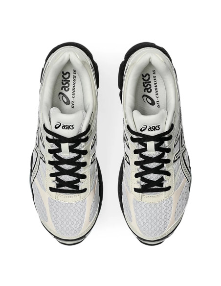 Asics Gel-Cumulus 16 White/Cream| Hylton